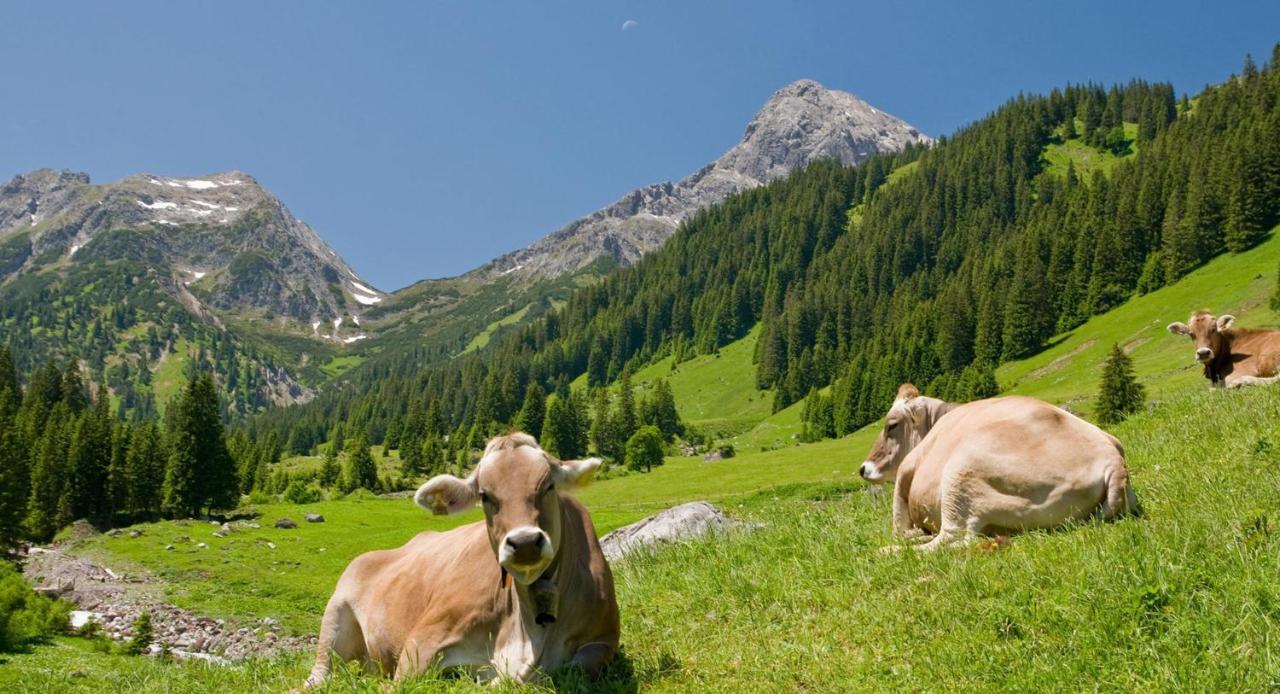 Center Parcs Park Allgaeu Leutkirch im Allgäu Esterno foto